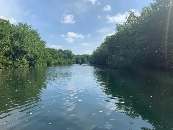 Canal entre manglares (alrededores)